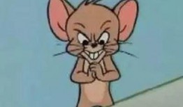 猫和老鼠杰瑞爆料视频,猫和老鼠背后的真实故事